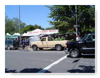 Eugene Saturday hippie market