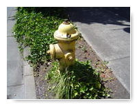 a yellow hydrant