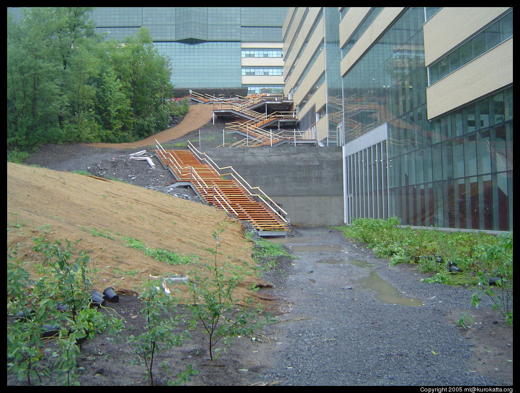 escalier temporaire de Polytechnique