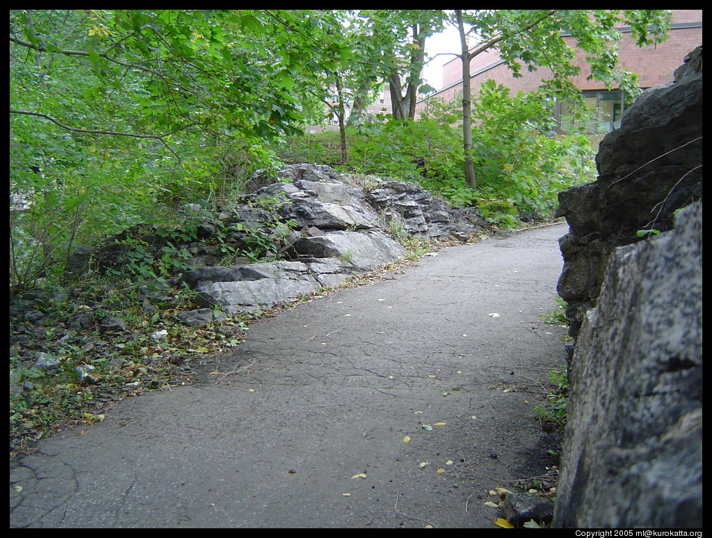 Université de Montréal