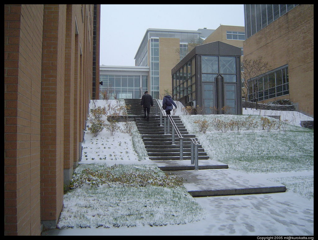 enfin la première neige