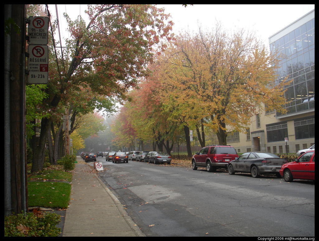 automne brumeux