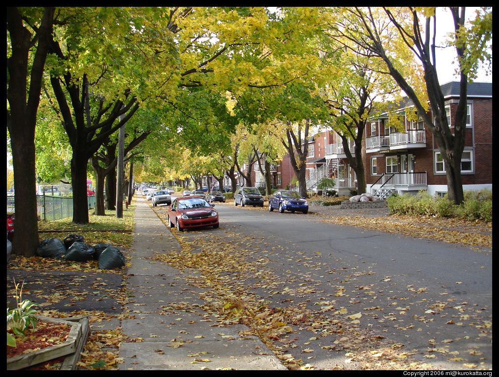 automne avenue de Châteaubriand