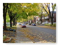 automne avenue de Châteaubriand