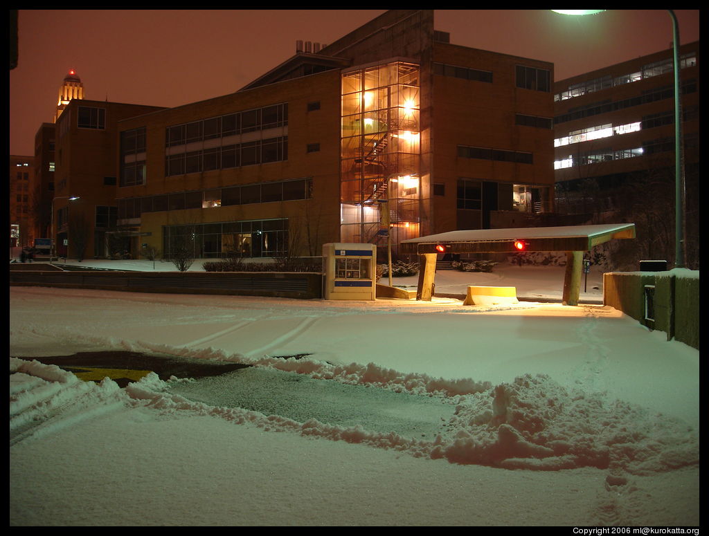 Université de Montréal de nuit