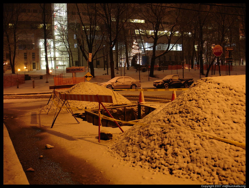 trou avenue Willowdale