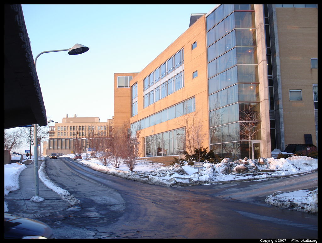 Université de Montréal