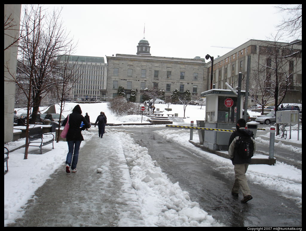 université McGill