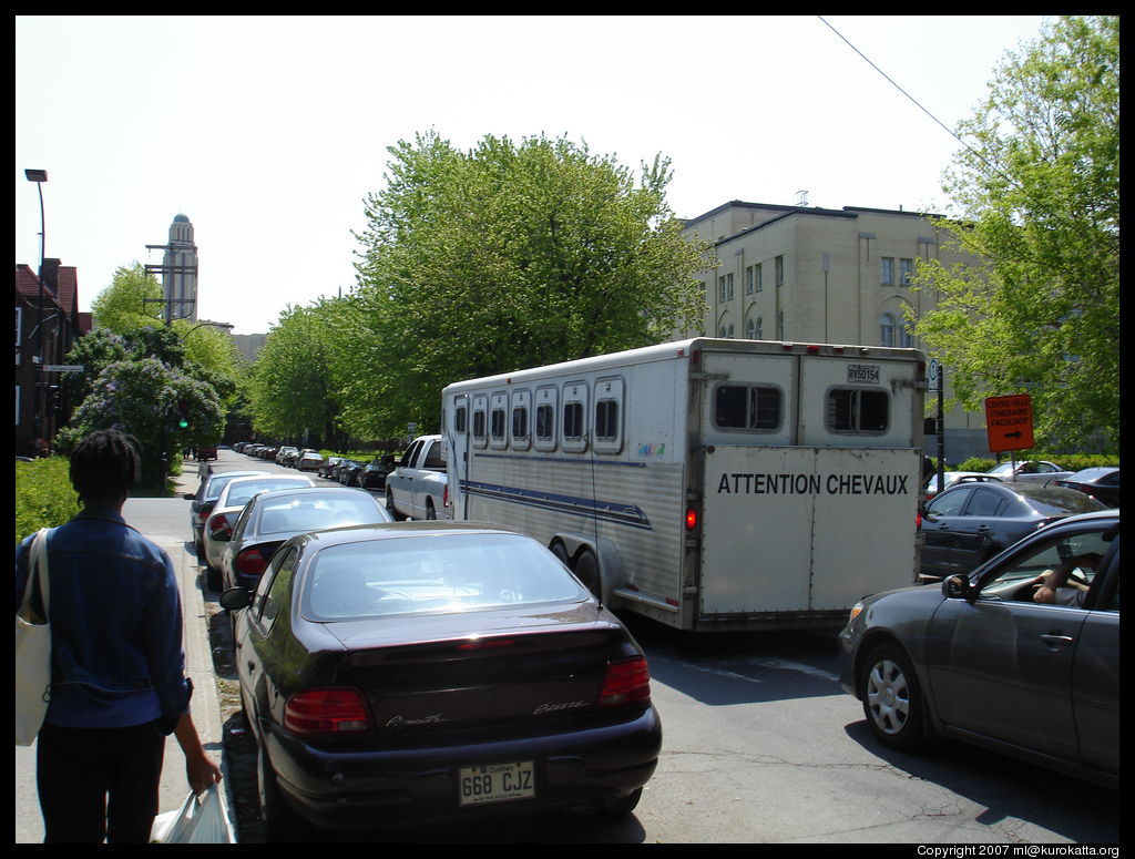 trailer à chevaux