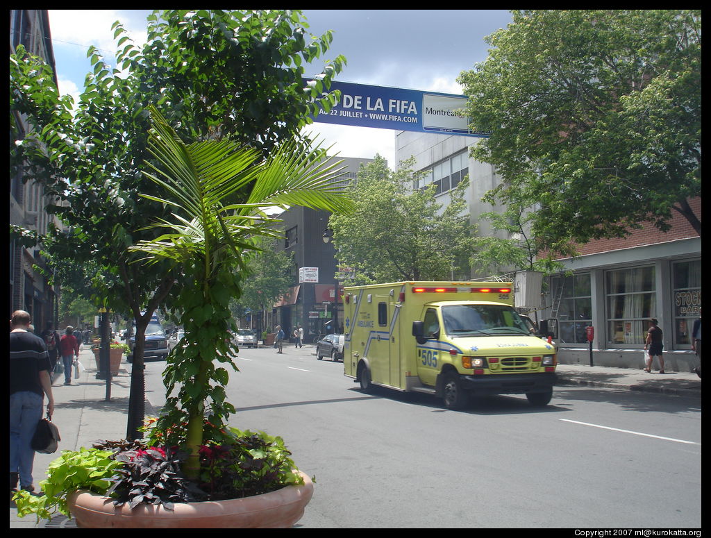 gros pots de fleurs sur Sainte-Catherine