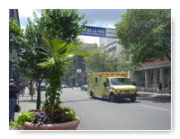 gros pots de fleurs sur Sainte-Catherine