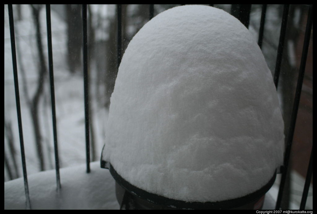 snow popsicle