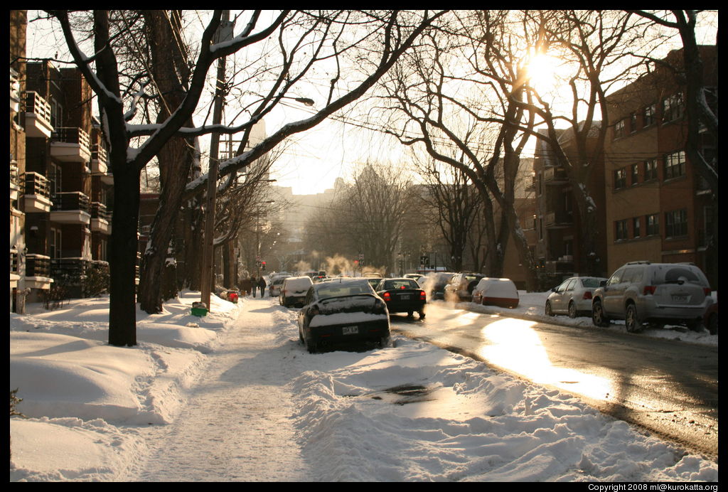 quartier Côte-des-Neiges