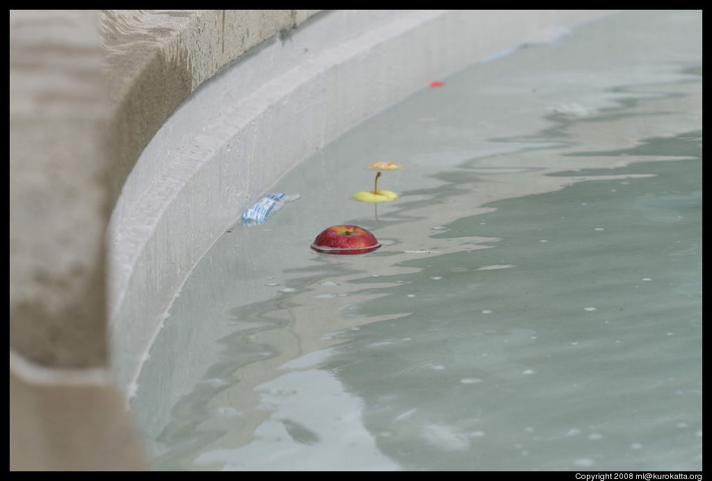 pommes flottant dans un bassin