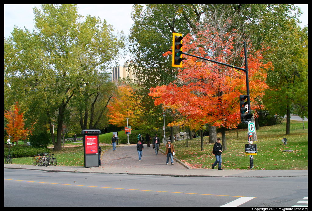 couleurs d'automne