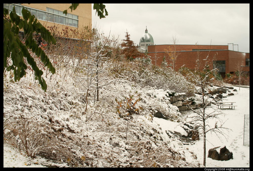 première neige