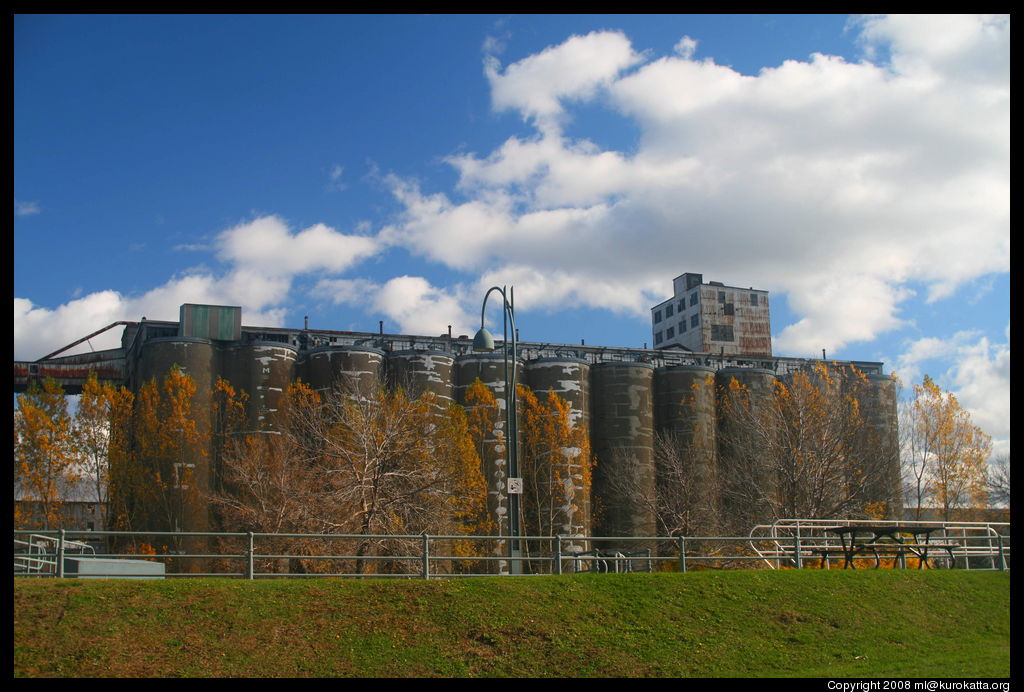 Montréal, début novembre, ensoleillé