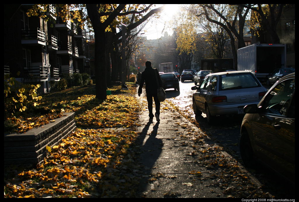 tapis de feuilles