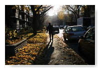 tapis de feuilles