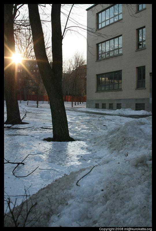 paradis glacé