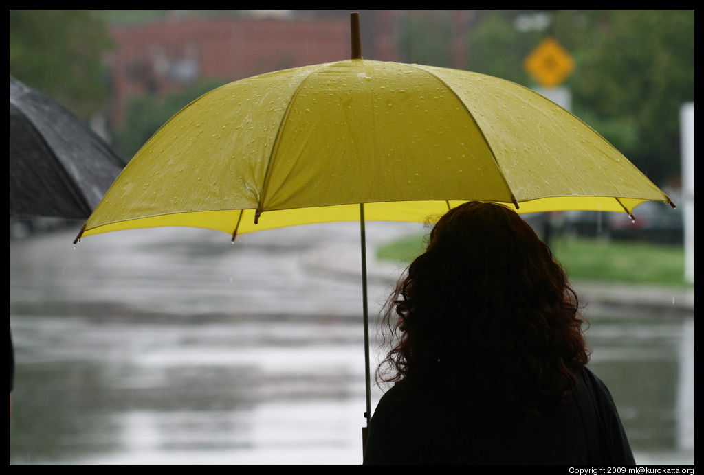 parapluie jaune