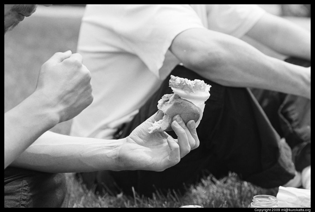 déjeuner sur l'herbe