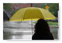 parapluie jaune