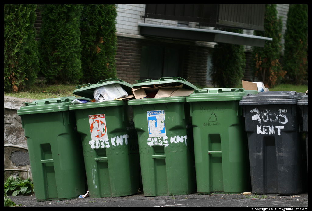 poubelles