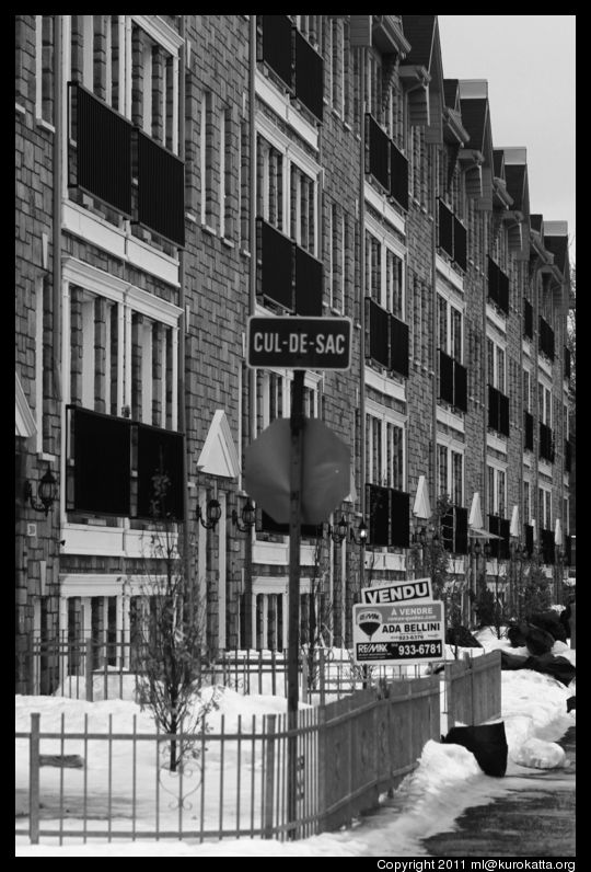 maisons identiques à perte de vue