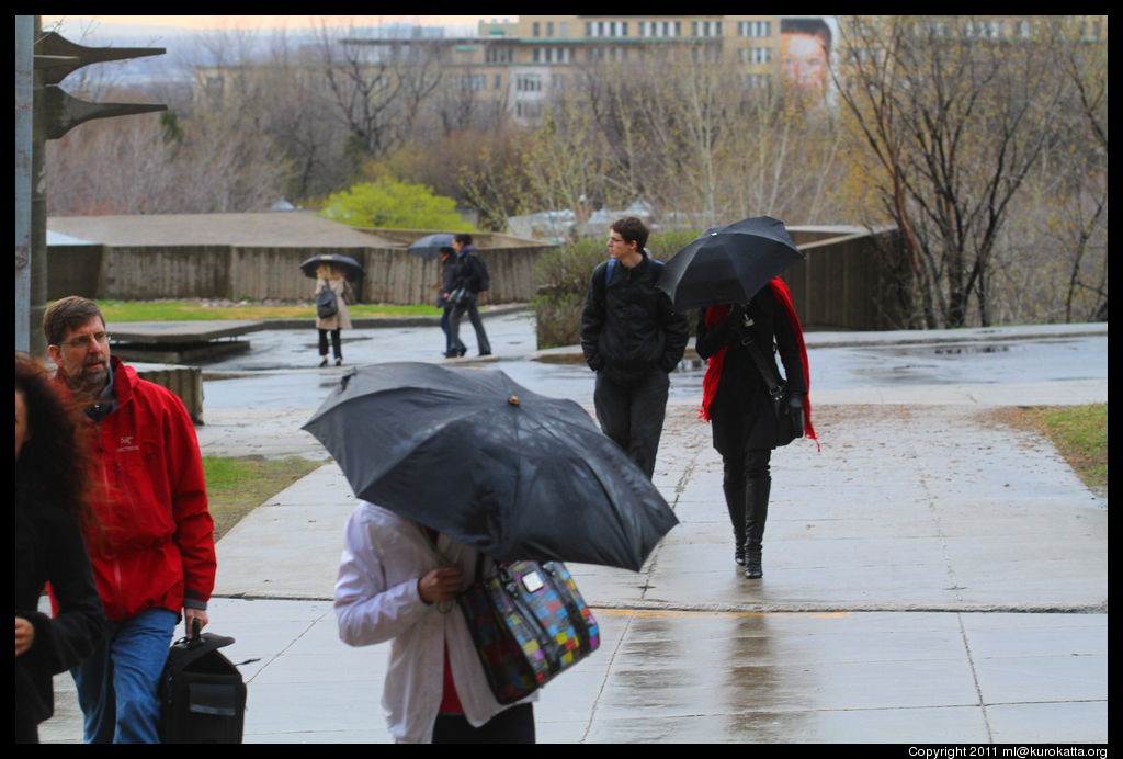 parapluies