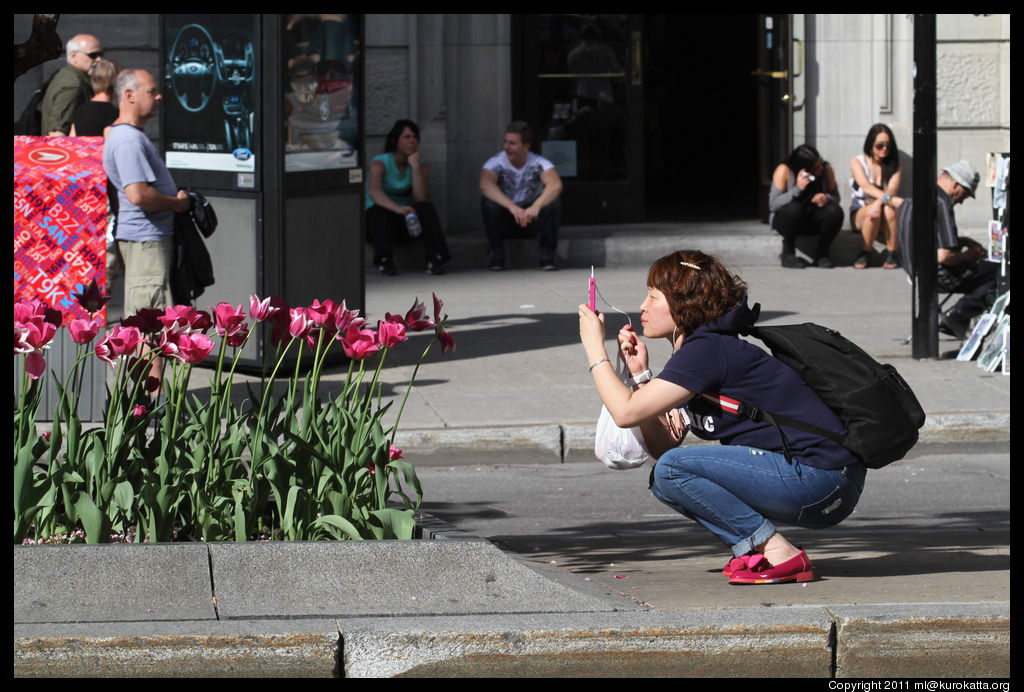 photo de fleur