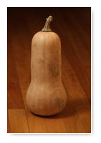 butternut