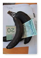 bananes bien mûres