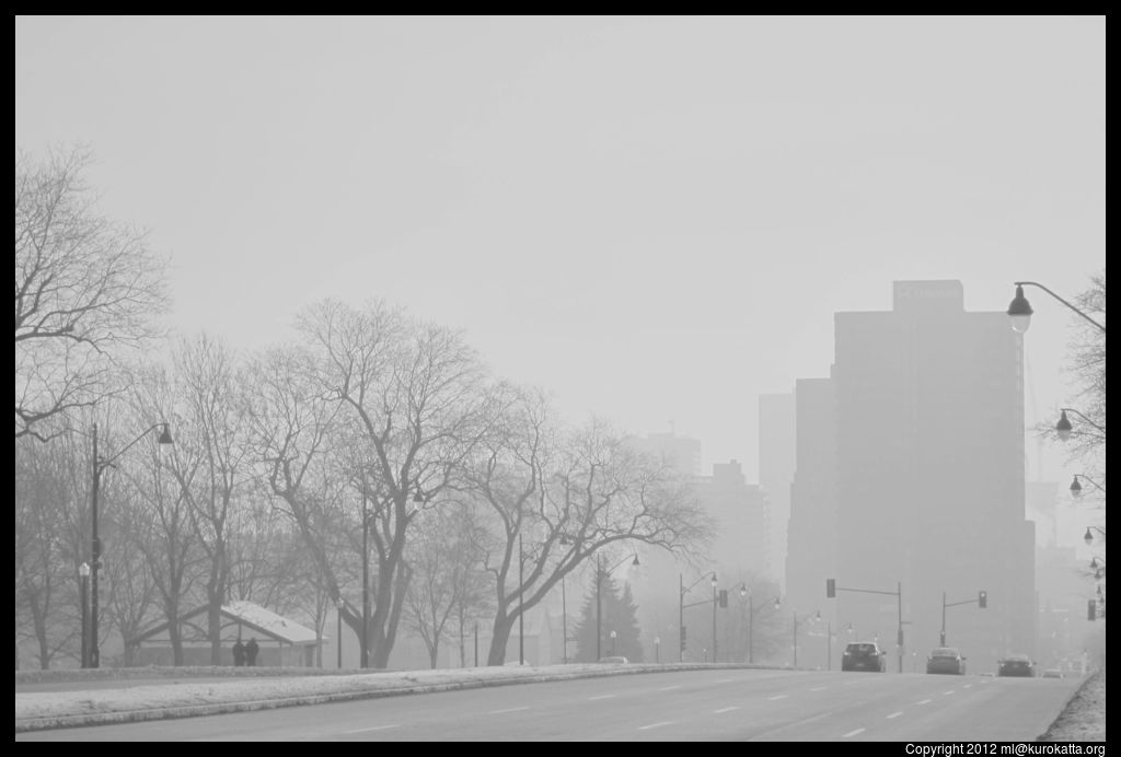 Parc sous la brume