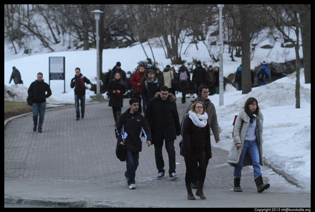 Université-de-Montréal