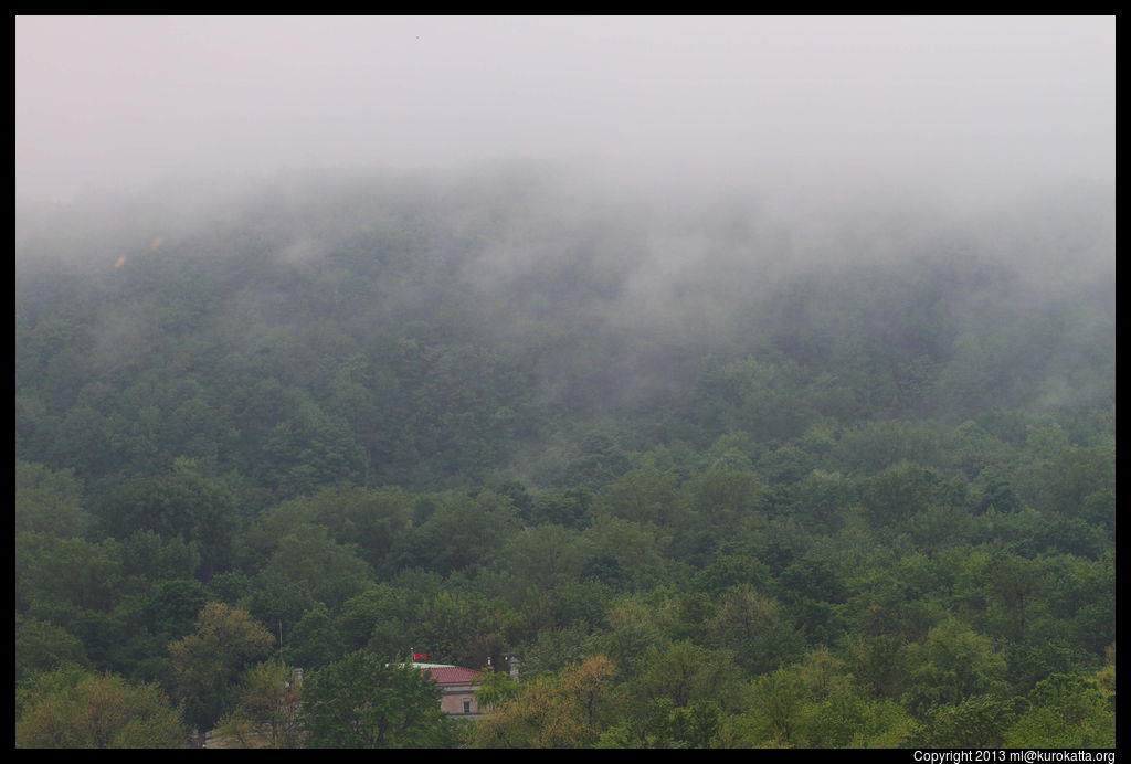 brume sur le mont Royal