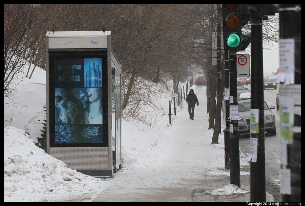 neige sur Côte-Sainte-Catherine