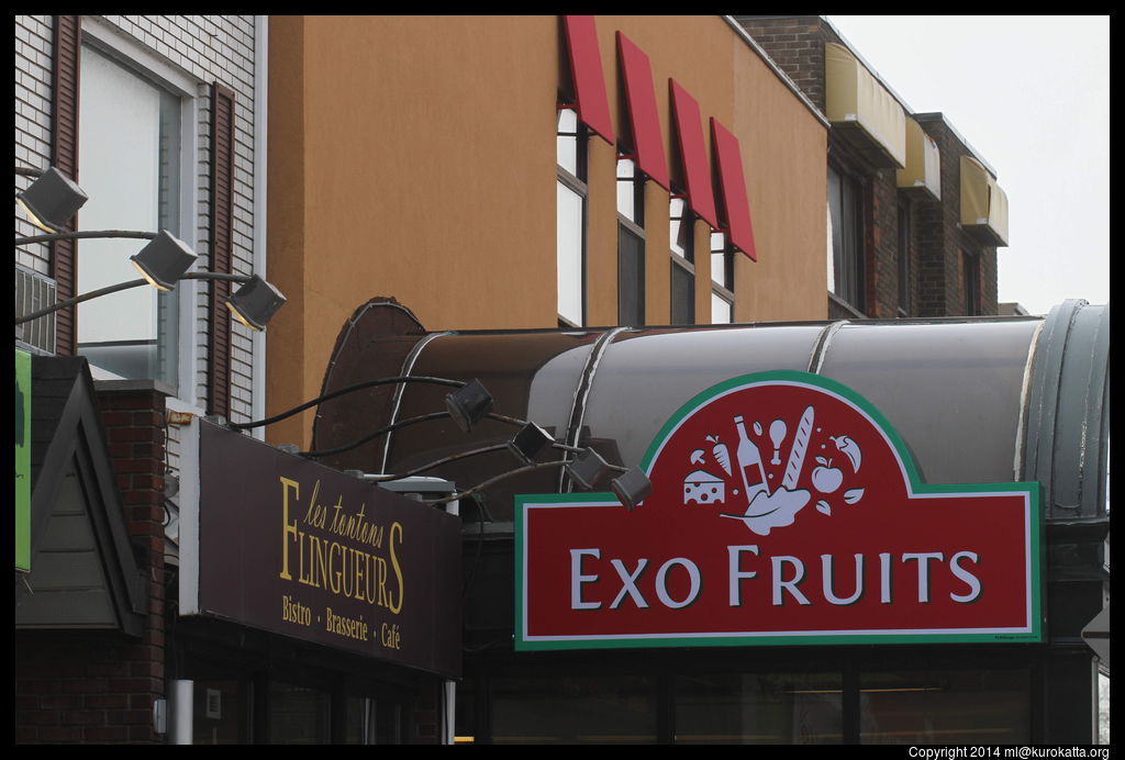 Exo Fruits