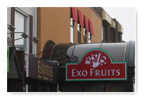 Exo Fruits