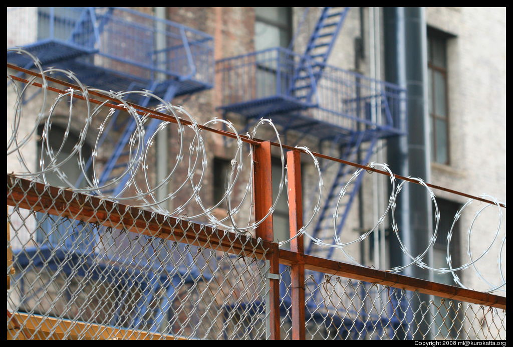 barb wire