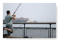 fishing in Battery Park