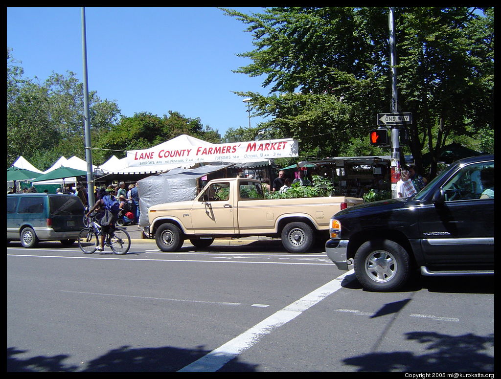 Eugene Saturday hippie market