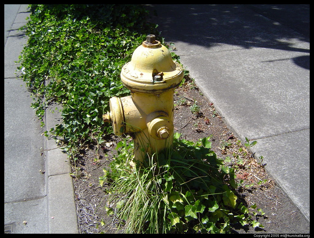 a yellow hydrant