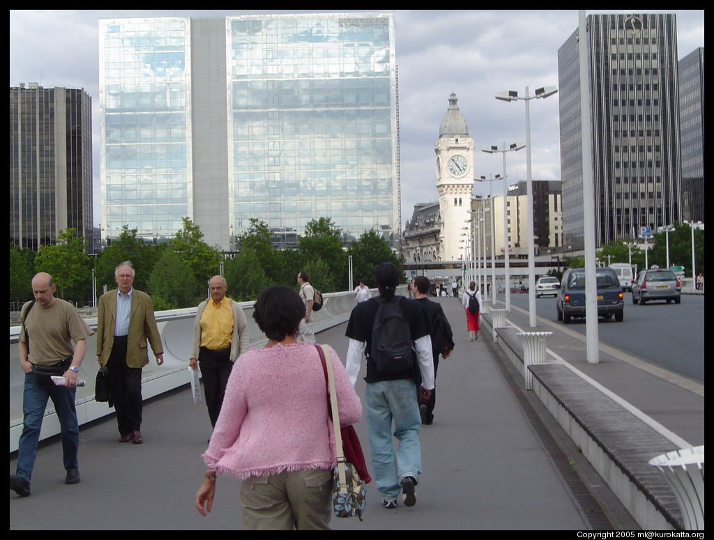 pont Charles de Gaulle et la gare de Lyon