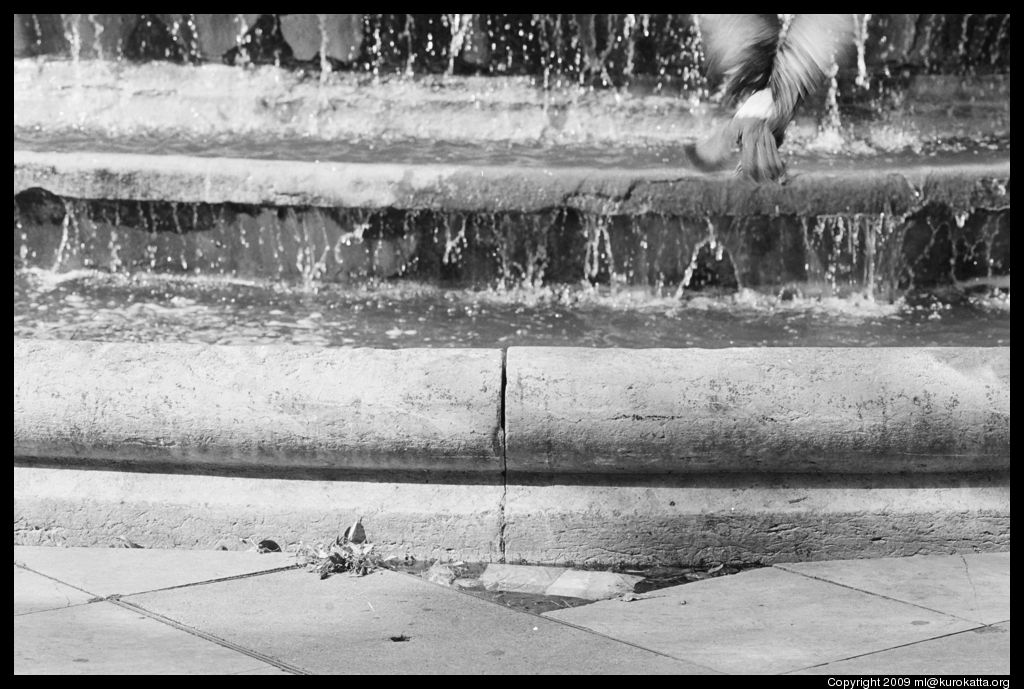 fontaine des Innocents